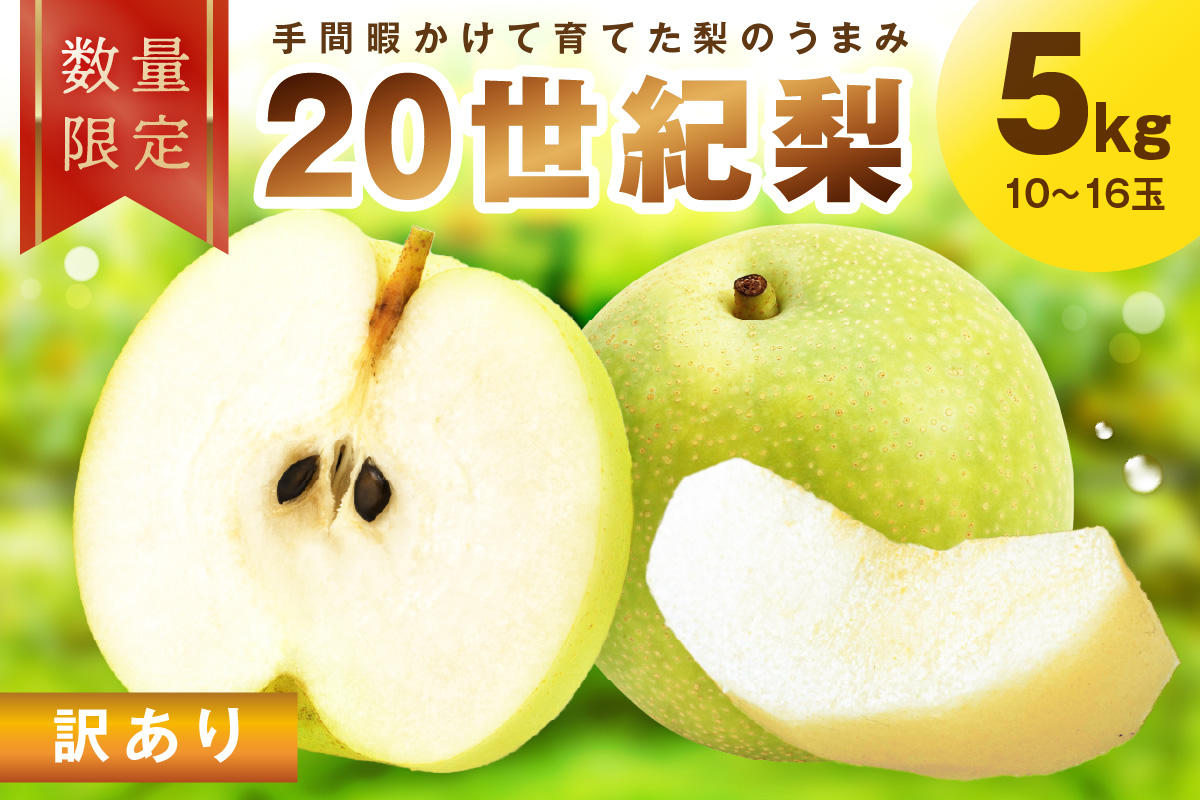 【先行予約／数量限定100】訳あり 廿世紀梨 5kg（2026年9月上旬～発送）　FK00021