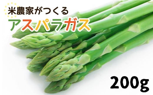 数量限定《先行予約》令和8年産 6月下旬～順次発送 米 農家がつくる！ 水にこだわった朝採れアスパラガス M 200g  野菜 春野菜 夏野菜 アスパラ 朝採れ 訳あり わけあり 不揃い お米 農家 池本農園 5000円 10000円 1万円
