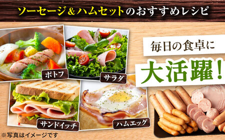 【6回定期便】ナルちゃんファーム ハムセット 5種 毎月2.1kg / ウインナー ソーセージ ハム / 大村市 / おおむら夢ファームシュシュ[ACAA354]