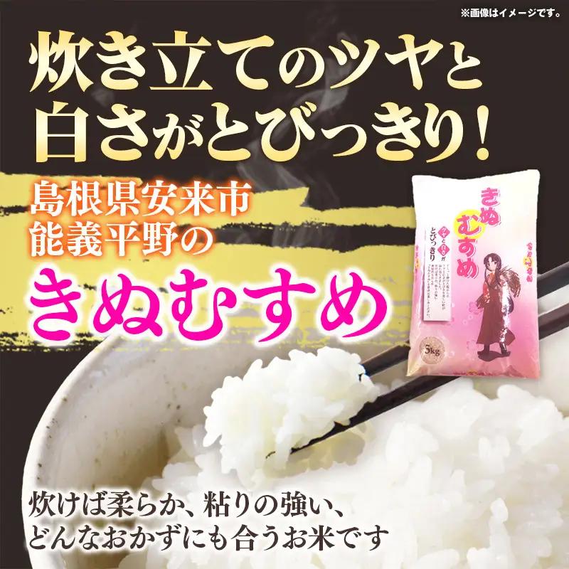【定期便】五ツ星お米マイスター厳選 能義平野のきぬむすめ 5kg×12ヵ月 【令和7年産 ５KG 12ヶ月 毎月 計60kg 精米 白米 ご飯 お米 美味しい 安心 安全 沼田米穀店 島根県 安来市】