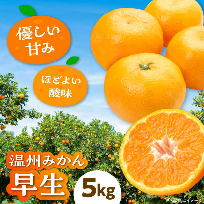 【ふるさと納税】【先行予約】【11月上旬から順次発送】 温州みかん 早生 約5kg 大洲市/カームシトラス[AGBW004] 先行予約 みかん ミカン 蜜柑 温州ミカン 温州みかん 果物 くだもの フルーツ 愛媛県産 大洲市産 産地直送 おすすめ 人気 お取り寄せ 送料無料 贈答 ギフト