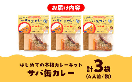 カレーライス サバ缶カレーキット 4人分×3セット [AIAD008]