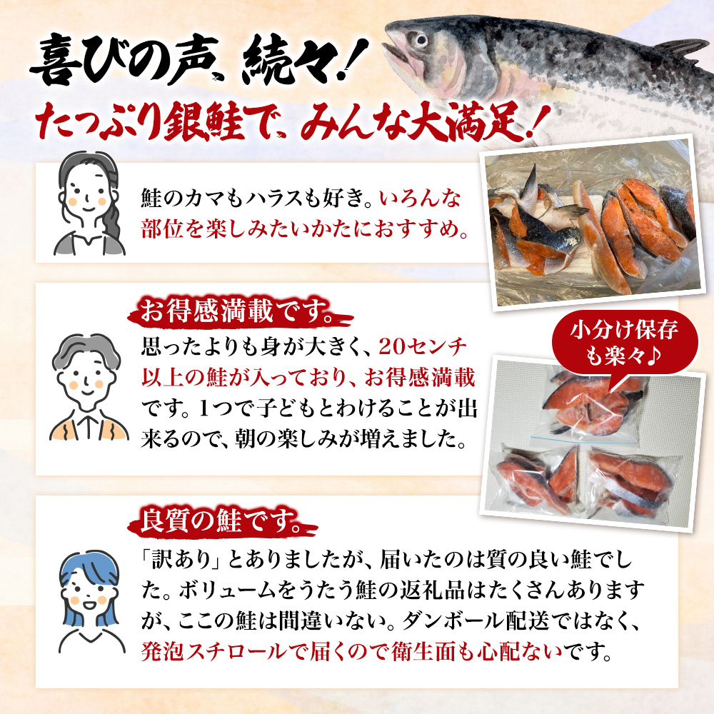 【12か月連続定期便】訳あり 銀鮭 切り身 1kg セット 詰め合わせ 銀シャケ 切身 鮭 サケ シャケ 鮭の切り身 規格外 不揃い 魚 魚介 魚介類 海鮮 海鮮セット 魚の切り身 鮭切身 冷凍 ご飯