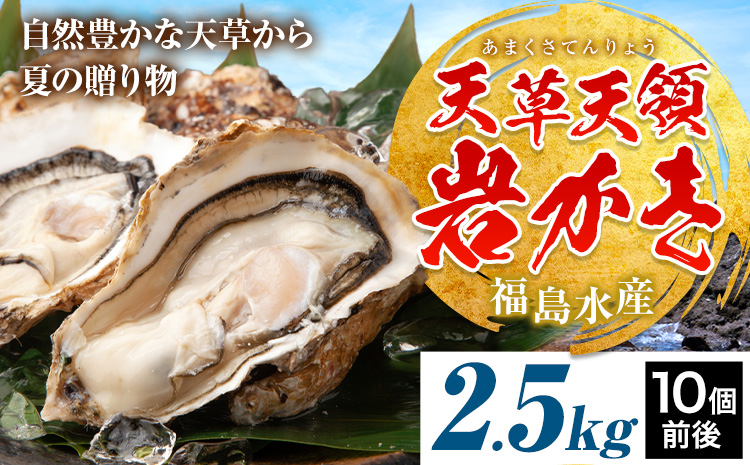 天領岩牡蠣 約2.5kg 福島水産《4月上旬-6月末頃出荷》熊本県 苓北町 牡蠣 かき カキ 岩カキ 岩ガキ 貝 BIG ビッグ 生食 バーベキュー 夏天草 天領 苓北 熊本 旬 シーズン 送料無料【配送不可地域あり】