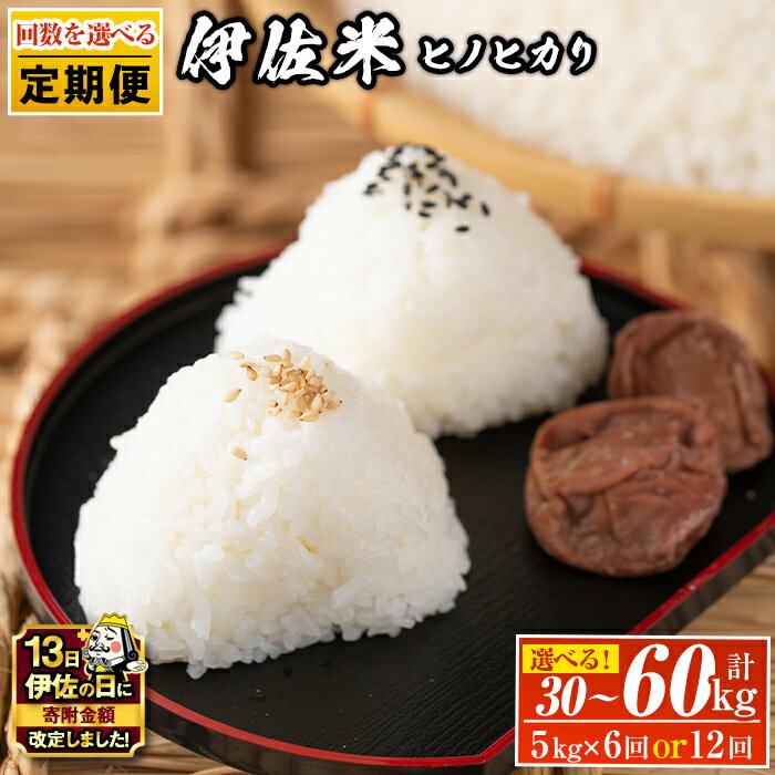 【ふるさと納税】【伊佐の日・寄附額改定】＜回数を選べる！＞【定期便】鹿児島県産！伊佐米ヒノヒカリ(計30kg or 60kg) 薩摩 北の郷 特産品 お米 白米 精米 ひのひかり【神薗商店】
