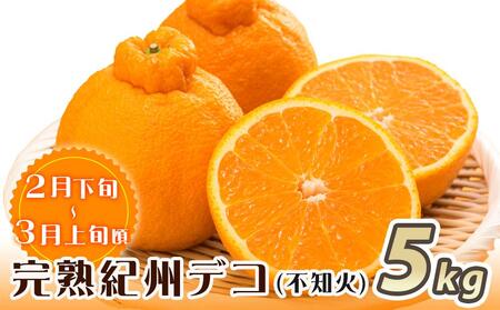 【魚鶴商店厳選】和歌山人気の柑橘定期便（有田みかん・不知火・清見オレンジ）【定期便全3回】