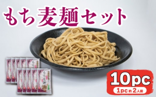 麺 もち麦麺 10PC もち麦 阿波市 徳島県