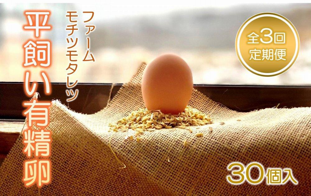 
【3回定期便】ファームモチツモタレツの平飼い有精卵（30個入）
