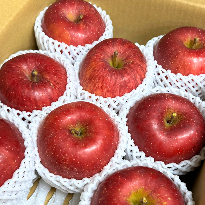 【定期便4回】やまがた 秋の贈り物定期便【令和8年産先行予約】FU23-877