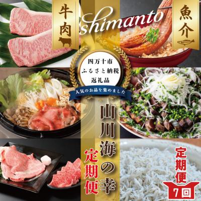 ふるさと納税 四万十市 【7ヵ月連続】四万十市人気魚介&amp;お肉返礼品【定期便】R6