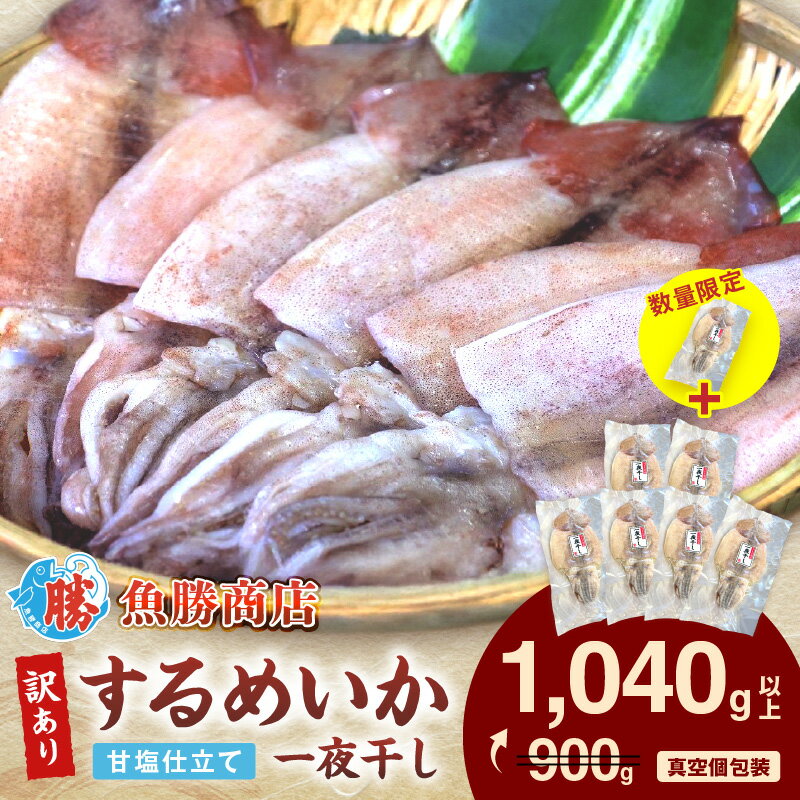 【ふるさと納税】【年内配送】【生活応援品】【レビューCP対象】【訳あり】するめいか一夜干し （6～7枚）+1枚　計1,040g以上 魚介類 いか するめいか 一夜干し 加工品 おつまみ 訳あり ふるさと納税 するめいか 【136_1992】