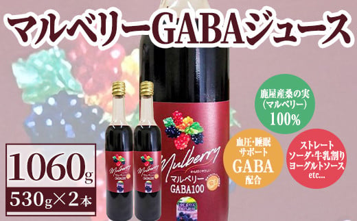 2402 【年内配送12月15日入金まで】マルベリー GABA ジュース 530g入り 2本 鹿屋産 桑の実 100%使用