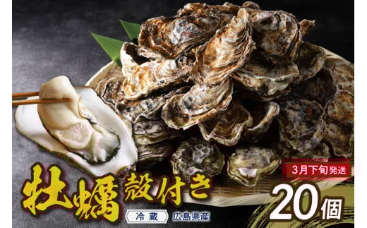 【2026年3月下旬発送】高田水産 殻付かき 20個 (Lサイズ)  ku010-002-03-3-25