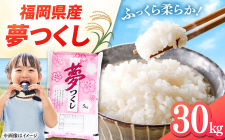 福岡県産米 夢つくし 30kg (5kg×6袋) 精米  [ADCE004]  米 白米 お米
