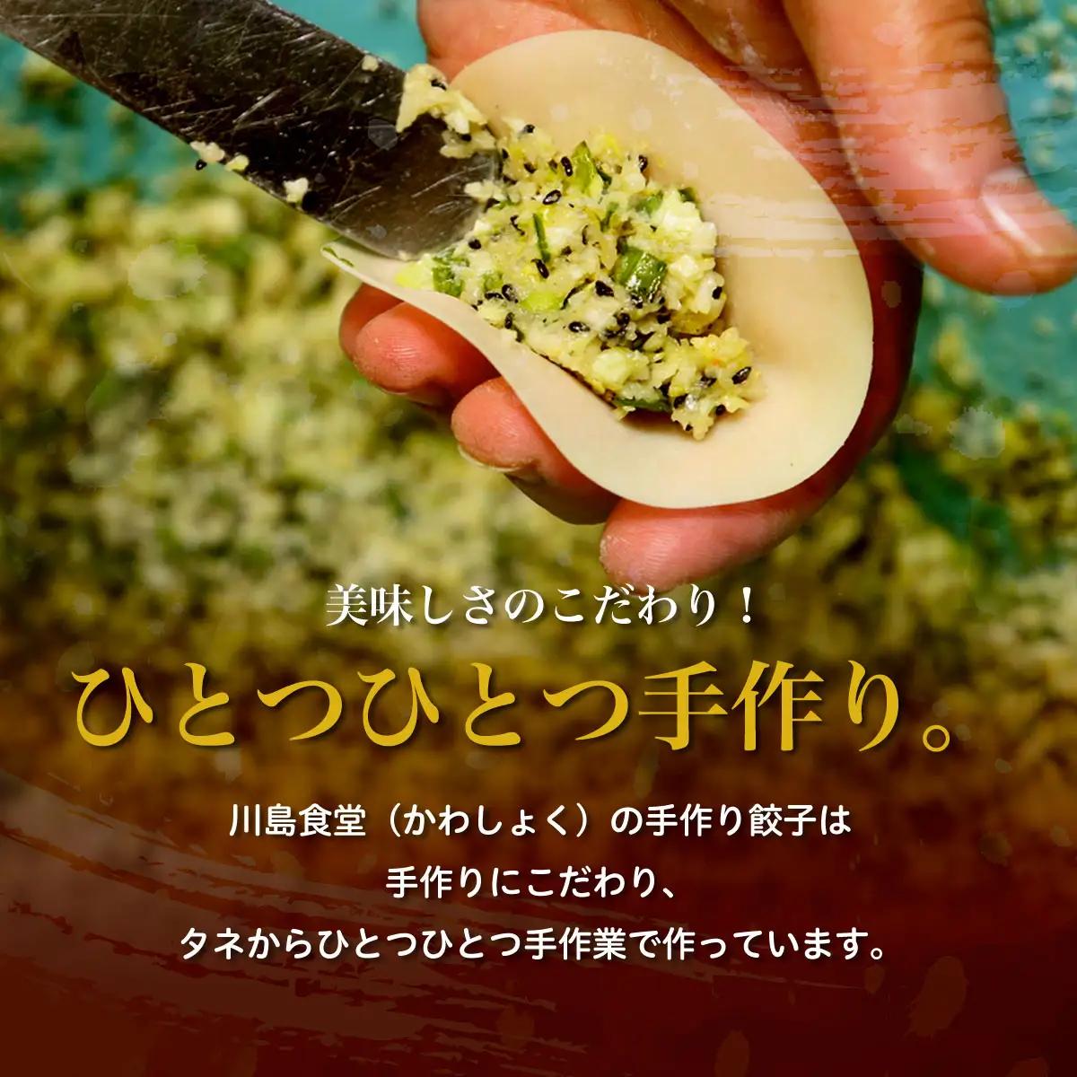 地元に愛される絶品手作り冷凍餃子60個 山武市産のニラをふんだんに使用！ ／ふるさと納税 餃子 キョウザ 冷凍 ニラ 中華 お惣菜 千葉県 山武市 SMBN002