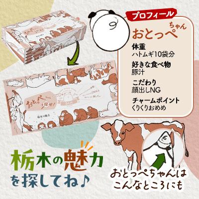 ふるさと納税 小山市 【5箱入り】使い切りパック!栃木の魅力ティッシュボックス　150w×5箱　※配送不可地域:離島・沖縄 |  | 02