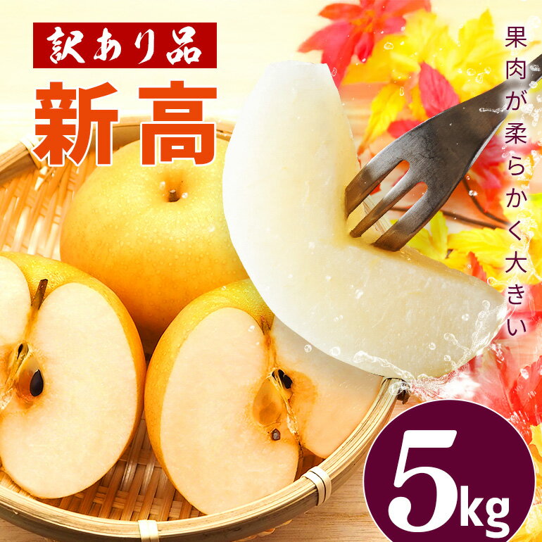 【ふるさと納税】【2025年 先行予約】【数量限定 訳あり】 梨 「新高」5kg 大玉 6～14個　柴沼梨園 訳アリ 不揃い ナシ なし 茨城 新高梨 秋 旬 フルーツ 果物 【9月下旬～10月上旬発送】 秋の味覚 旬の果物 くだもの 大きい サイズ 産地 家庭用 産地直送 送料無料
