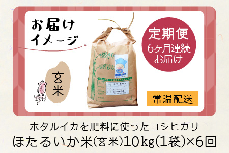 【訳あり】ほたるいか米（玄米10kg）×6回 計60kg【6ヶ月定期便】