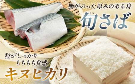 鯖の棒寿司 No.232
