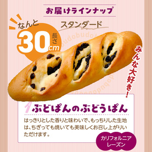 ぶどうぱん食べ比べセット（5本） _ ぶどうぱん 専門店 ぶどぱん 食べ比べ 5本 ぶどぱんのぶどうぱん サンマスカット 全粒粉のくるみとレーズン ミックスレーズン 抹茶 レーズン しっとり もっちり