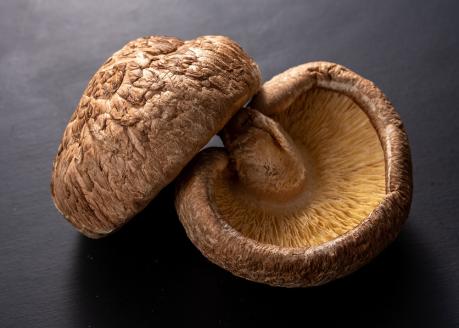 ブランド原木椎茸「霧源（MUGEN）」乾燥約150g（5～8枚）ご家庭用