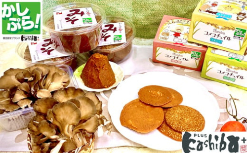 香芝市地域ブランドKASHIBA+(カシバプラス) 認定品3点セット (コメコチュイル、大和マイタケ(舞茸)、かしば香るみそ (味噌)) [3254]