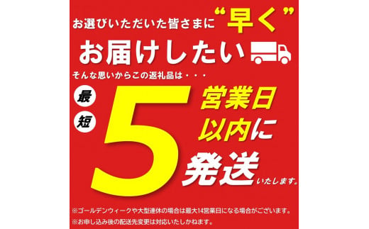 【最短5営業日以内に発送】十勝若牛100％使用！十勝若牛ハンバーグ 100g×6個_S003-0001