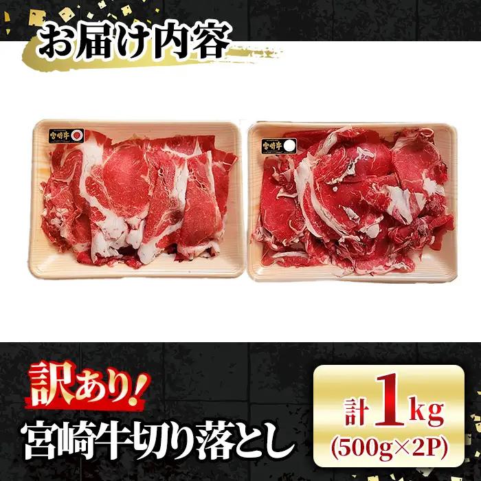＜訳あり＞宮崎牛 切り落とし(計1kg・500g×2P) 牛肉 肉 ブランド牛  冷凍 国産 精肉 お取り寄せ 黒毛和牛 宮崎県 【LJ005】【ローカルブランディング株式会社】