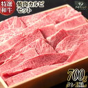 【ふるさと納税】【特選和牛 平野幸一之牛】 焼肉 カルビ セット 700g & タレ 180ml [増山（焼肉薩摩） 長崎県 雲仙市 item1765] 牛肉 焼き肉 黒毛和牛 和牛 肉 冷凍