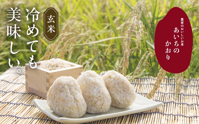 お米 玄米 雑穀米 ご飯 ごはん 特別栽培米 愛知県産 米 10kg 10キロ