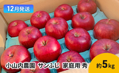 【12月発送】小山内農園 サンふじ 家庭用 秀 約5kg【弘前市産 青森りんご】