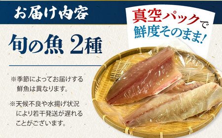 金澤仕立て 鮮魚ボックス 旬の魚2種 鮮魚 簡単 旬 海鮮 真空 冷蔵 五島市/金沢鮮魚[PEP006]