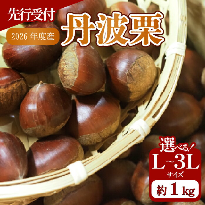 【ふるさと納税】 先行予約 2026年度産 京都府産 丹波栗 1kg 選べるサイズ L～3L 栗 大粒 秋 旬 味覚 くり 国産 丹波ぐり 丹波くり 生栗 生ぐり 和栗 生くり 京都 京都府 JA JA京都 15000円 20000円 26000円