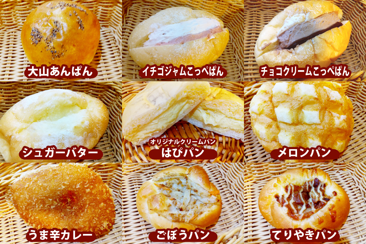 はぴはぴハッピーぱん 5個詰め合わせセット (塩ぱん 大山あんぱん カレーパン 等)｜パン 美味しい ふんわり おすすめ 冷凍 冷凍パン 詰め合わせ [1171]