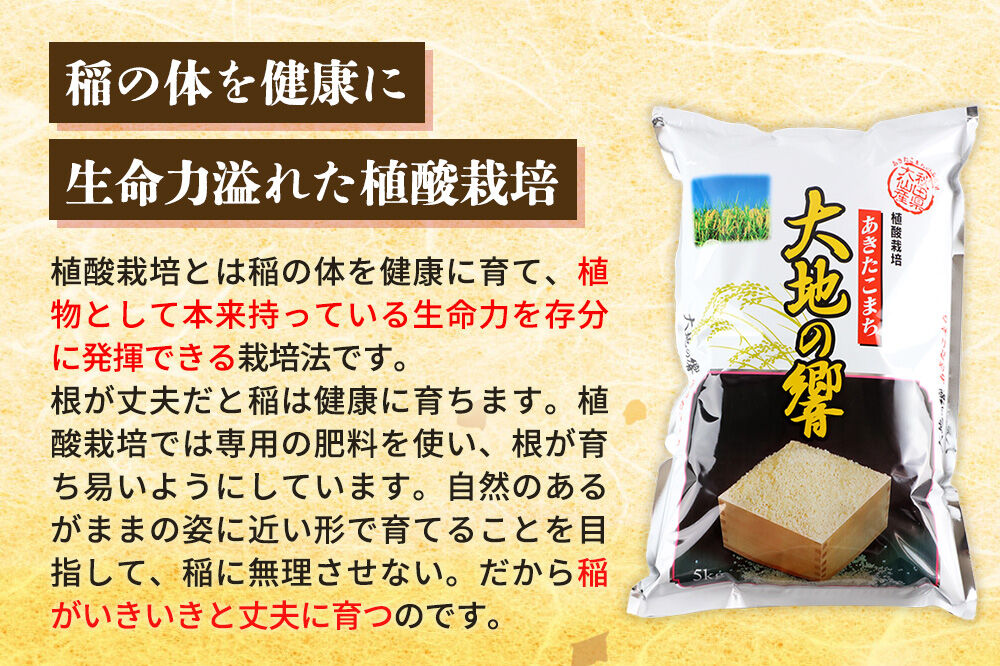 ＜令和8年産 新米受付＞米 植酸栽培 あきたこまち「大地の響」5kg（5kg×1袋）【白米】精米 秋山商店 [先行予約 新米 お米 こめ 白米 精米 植酸栽培 あきたこまち 大地の響 ブランド米 秋田
