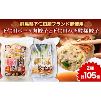 ふるさと納税 下仁田町 「下仁田名産シリーズ」下仁田ねぎ殿様餃子と下仁田ポーク肉餃子セット F21K-489