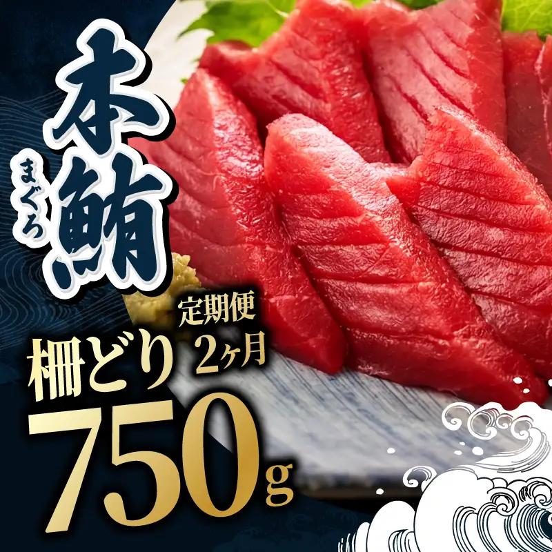 【定期便2回】冷蔵でお届け！大満足！生本マグロ 赤身（柵どり） 750g × 2回お届け （毎月お届け）