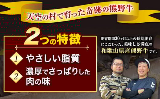 熊野牛 炙りユッケ タレ付き 牛 牛肉 ユッケ 約250g 有限会社松牛《30日以内に出荷予定(土日祝除く)》 和歌山県 岩出市 希少 肉 牛肉 熊野牛 送料無料 ユッケ