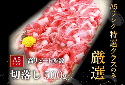 【3月末までに発送】近江牛A5ランク切落し【500g】【DG12SM-3m】