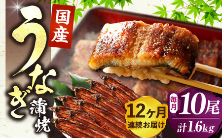 【全12回定期便】福岡県産 うなぎ 蒲焼 大 12尾　計1,600g（1尾あたり 160g以上）《豊前市》【福岡養鰻】 国産 鰻 ウナギ 蒲焼き [VAD029]