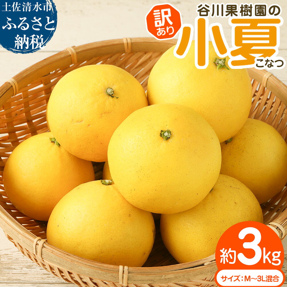【ふるさと納税】令和9年4月中旬以降発送 訳あり 小夏 谷川果樹園の小夏3kg 日向夏 みかん 柑橘 フルーツ こなつ ニューサマーオレンジ 果物 美味しい ワケあり 訳 自宅用 ご家庭用 おやつ ふるさとのうぜい 故郷納税 返礼品 高知 土佐清水市 7000円【R01146】