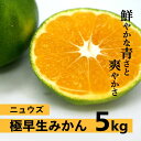 【ふるさと納税】極早生みかん（生果）5kg　※2024年9月下旬〜10月下旬頃に順次発送予定