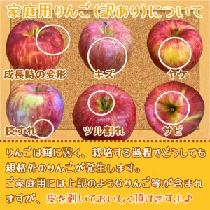 家庭用 りんご ふじ (有袋) スマートフレッシュ? 3kg (9玉から12玉入り 3kg 1箱) 見た目にわけあり 味はそのまま｜青森 つがる 訳あり 訳アリ リンゴ 青森りんご フルーツ 果物 [