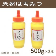 竹内養蜂の蜂蜜1種(くろがねもち2本) 各500g