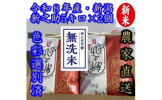 【令和8年産新米】整粒率95％の1等米！！ 阿賀野市産「新之助」無洗米 10kg（5kg×2袋） 中島農場 精米 新潟県 米 こめ コメ お米 ごはん ご飯 農家直送 色彩選別済 新米 新米予約 令和8年産 9月下旬より順次発送  3R13034