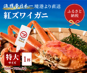 Y279 【蟹セレブ】紅ズワイガニ　特大1杯（600～700g×1）
