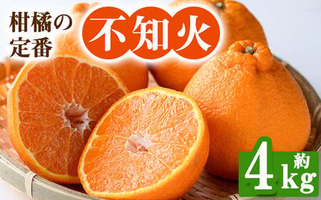 ＜先行予約！2027年2月下旬以降順次発送予定＞香川県産 不知火(約4kg) しらぬい 国産 果物 フルーツ ミカン 柑橘 新鮮【man093】【Aglio nero】