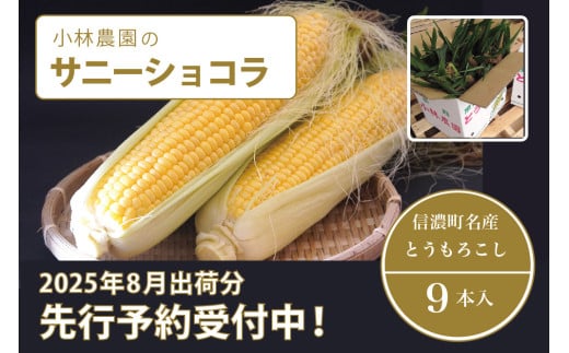 小林農園の信濃町産スイートコーン「サニーショコラ（9本セット）」令和7年8月上旬～出荷予定【2025年夏のご予約受付開始！】 生産者直送とうもろこし【長野県信濃町ふるさと納税】