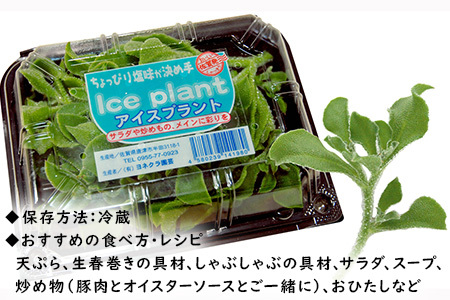 『先行予約』【11月中旬より順次発送】アイスプラント(70g×12パック)ぷちぷち食感 塩味 野菜 天ぷら 生春巻き サラダ スープ しゃぶしゃぶ 炒め物 おひたし