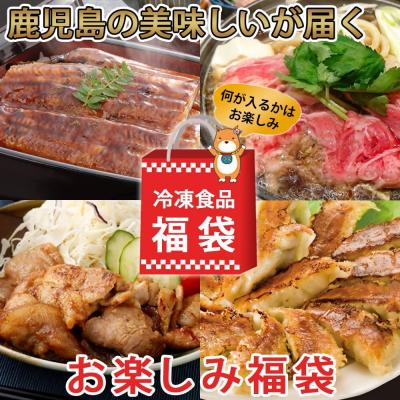 ふるさと納税 薩摩川内市 【お楽しみ福袋B】鹿児島の美味しいが届く!5品以上 ss0903